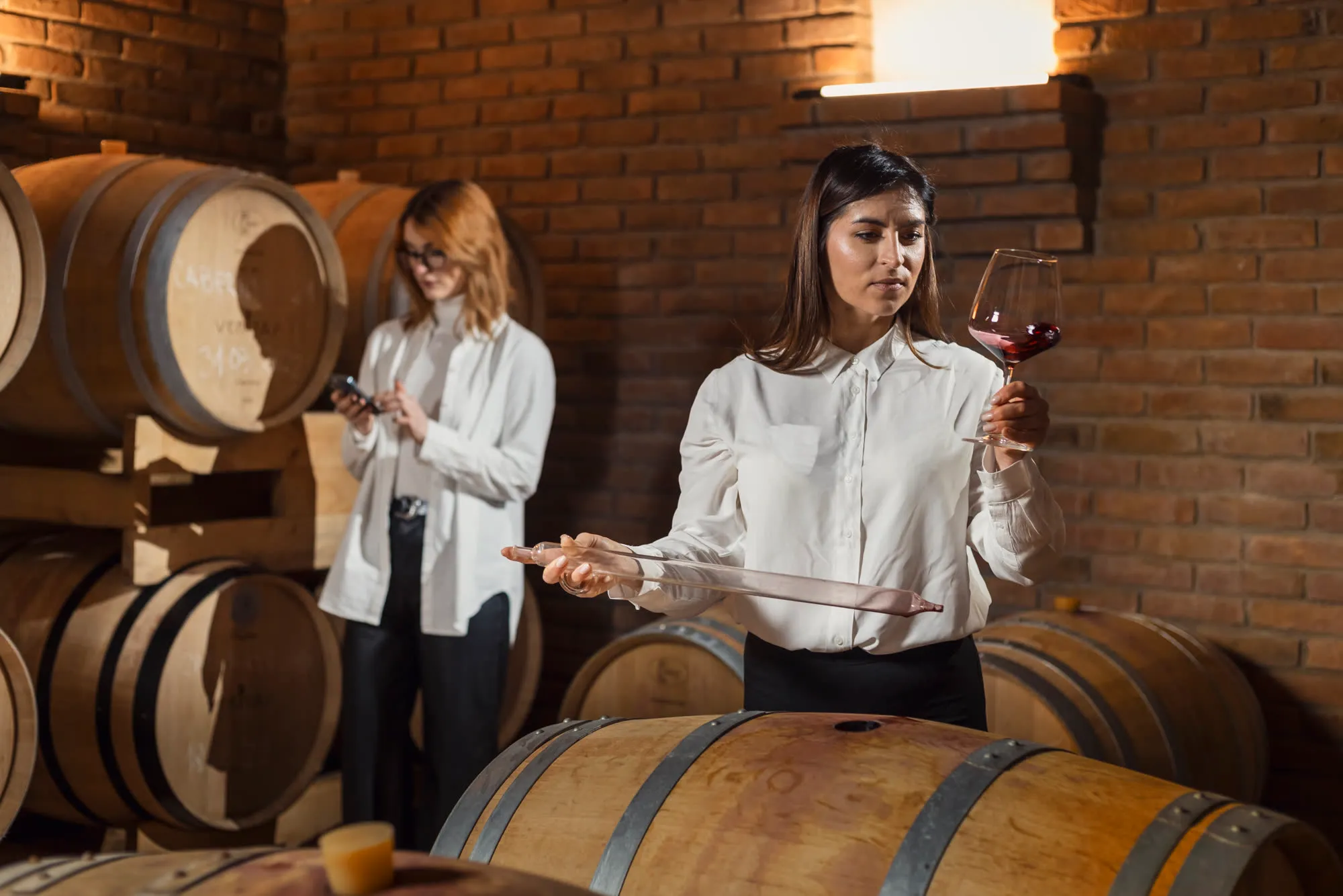 Degustacija vina u podrumu